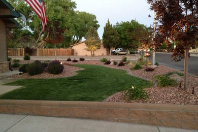 This is an example of a mid-sized contemporary full sun front yard concrete paver landscaping in Albuquerque.