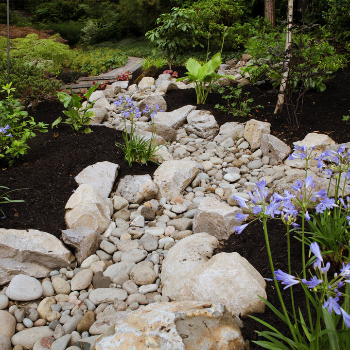 Dry Rock Creek Beds - Photos & Ideas | Houzz