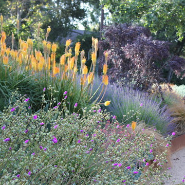 Portola Valley garden