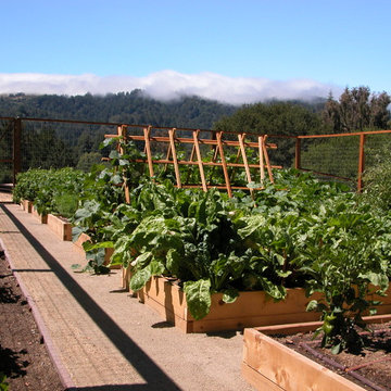 Portola Valley Kitchen Garden
