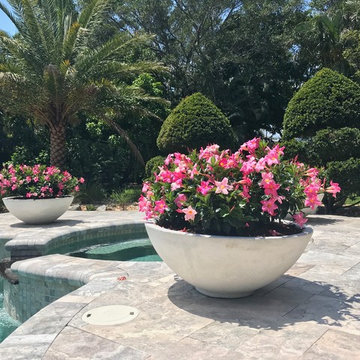 Pots for Pool Area