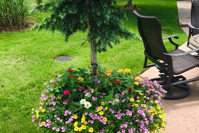 Imagen de jardín rural grande en verano en patio trasero con jardín de macetas y exposición total al sol