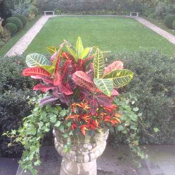 Potted Gardens, Windows,