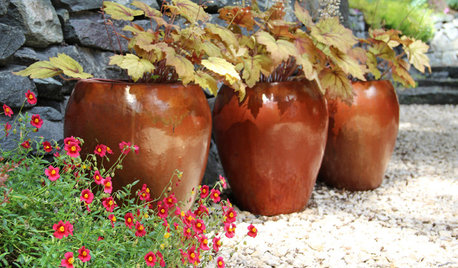 12 Easy-Care All-Foliage Container Gardens for Fall
