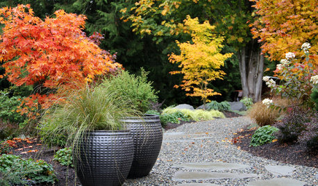 8 astuces de jardinier pour un beau jardin d'automne