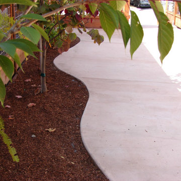 Poured Concrete Patio with Integrated Pigment Curved Edge