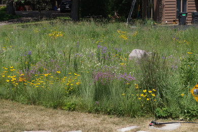 Foto de jardín de secano rústico de tamaño medio en verano en patio delantero con exposición parcial al sol