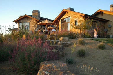 Design ideas for a huge transitional drought-tolerant and full sun backyard stone landscaping in Denver for summer.