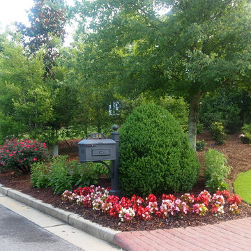 Pretty mailbox area with boxwood, begonias, knock out roses, black eyed susans a