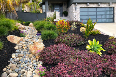 Contemporary xeriscape garden in San Luis Obispo.