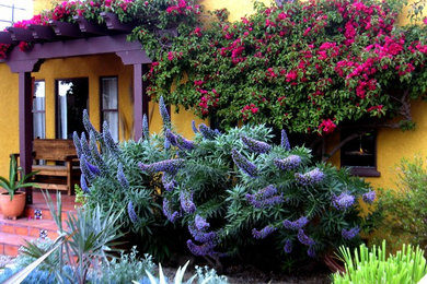 Inspiration for a mediterranean full sun front yard landscaping in Los Angeles.