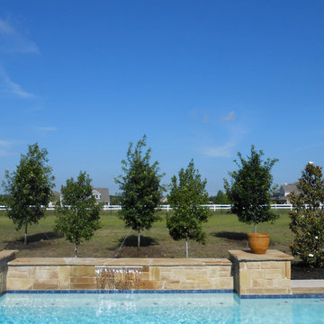 Privacy Screening in large backyard