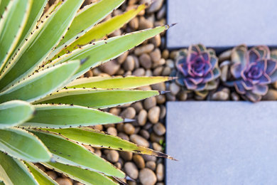 Inspiration for a mid-sized modern backyard concrete paver landscaping in Orange County.