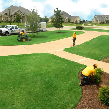 Professional Lawn & Bed Maintenance