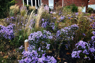 Inspiration for a mid-sized contemporary drought-tolerant and full sun front yard landscaping in Philadelphia for winter.
