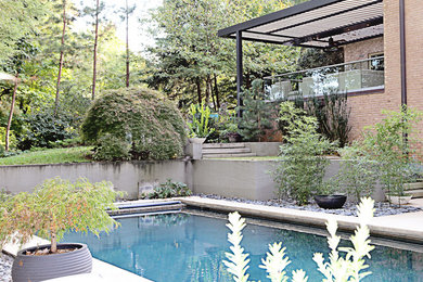 Inspiration for a world-inspired courtyard garden in Los Angeles with concrete paving.
