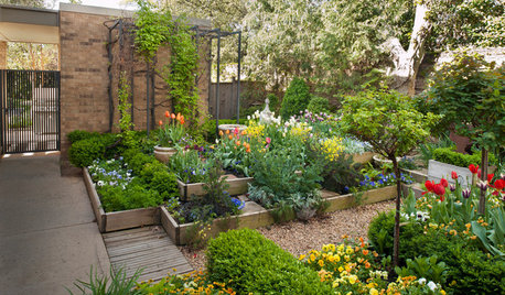 8 Design Moves That Can Give a Flat Garden More Depth or Height