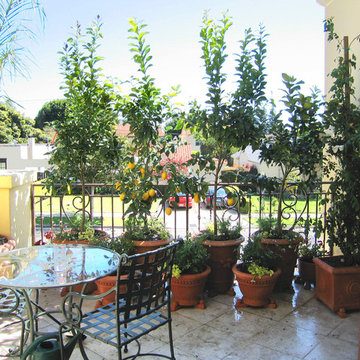 Provençal Terrace