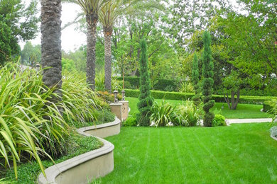 Foto di un giardino tropicale esposto in pieno sole di medie dimensioni e davanti casa