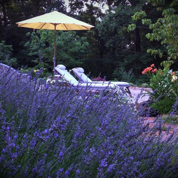 Provence in Westchester NY