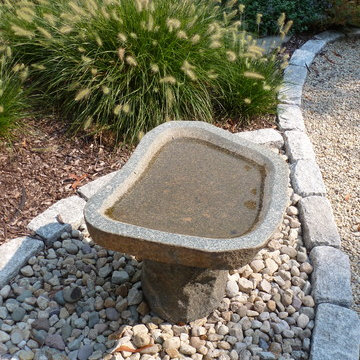 Providence Garden for the Birds