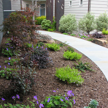 Pt. Richmond Modern Front Yard with Patio