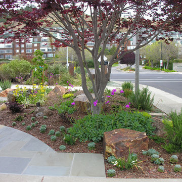 Pt. Richmond Modern Front Yard with Patio