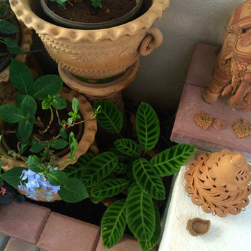 Pune Garden