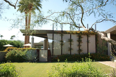 Photo of a large full sun backyard landscaping in Phoenix for summer.