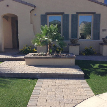 Queen Creek Front Yard Beauty