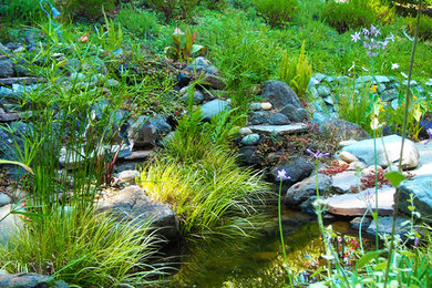 Exemple d'un jardin asiatique avec un point d'eau, une exposition partiellement ombragée et une pente, une colline ou un talus.