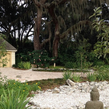 Rain Garden