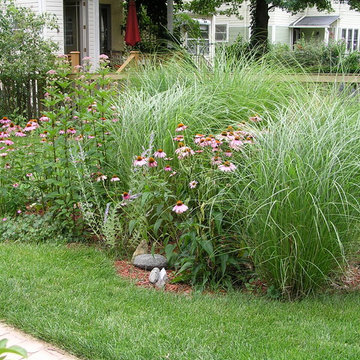 Rain Garden Oak Park