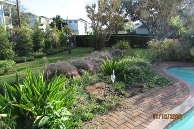 Photo of a mid-sized contemporary full sun backyard river rock landscaping in Houston.