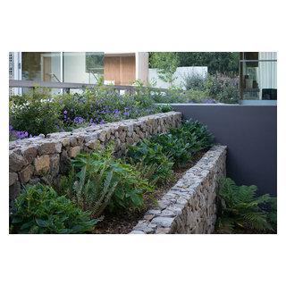 Rain Garden Modern Garden San Francisco By Terra Ferma Landscapes Houzz Au