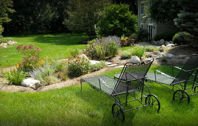 How to Design a Rain Garden That Loves Stormy Weather