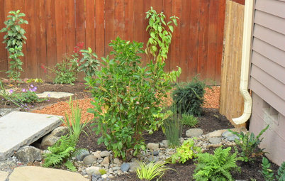 Get Your Garden Ready for the Rainy Season
