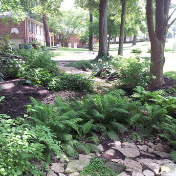 Rain Harvesting