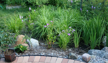How to Site and Size a Rain Garden for Your Landscape