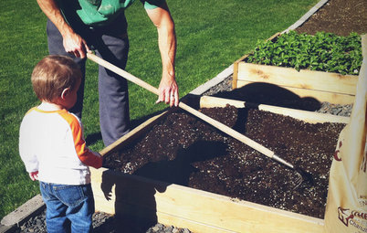 Build a Raised Bed to Elevate Your Garden