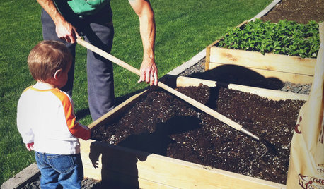 Build a Raised Bed to Elevate Your Garden