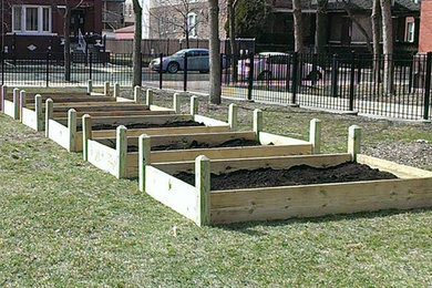 Raised Bed Gardens - Chicago schools