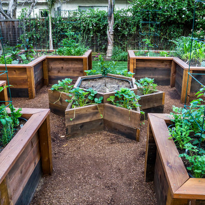 Inspiration for a small traditional full sun backyard formal garden in San Francisco for spring.
