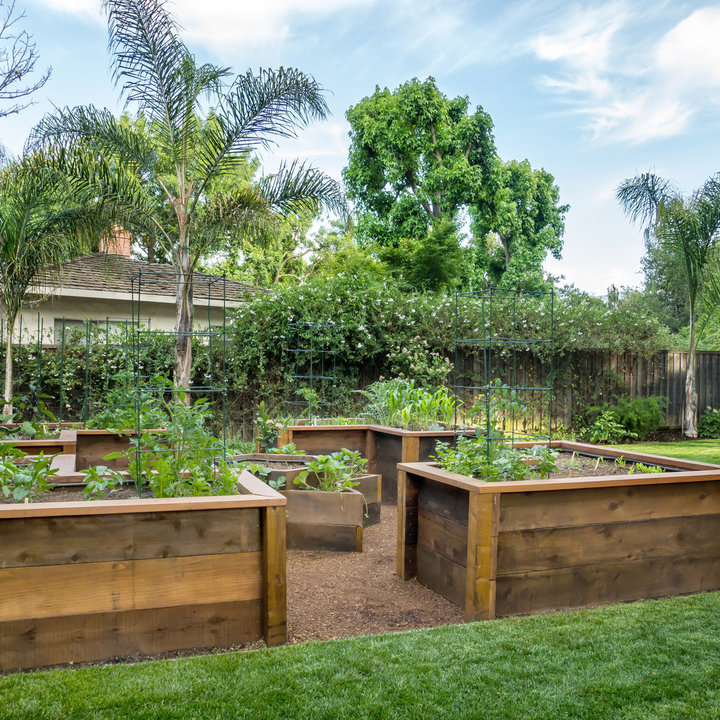 Raised Bed Vegetable Garden Layout Photos & Ideas Houzz