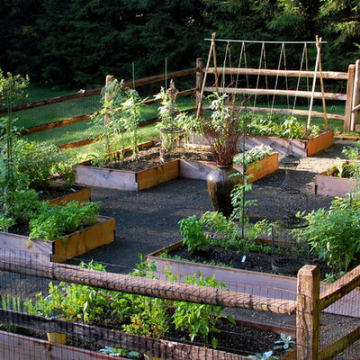 Design ideas for a traditional vegetable garden landscape in New York.