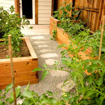 Raised Bed Vegetable Garden | Sacramento, CA