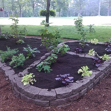 Raised Beds