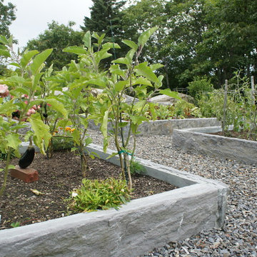 Raised beds for kitchen vegetable garden