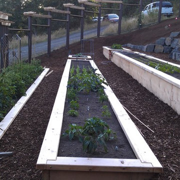 Raised beds on a slope