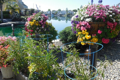 Modelo de jardín costero en patio trasero con jardín de macetas y exposición parcial al sol